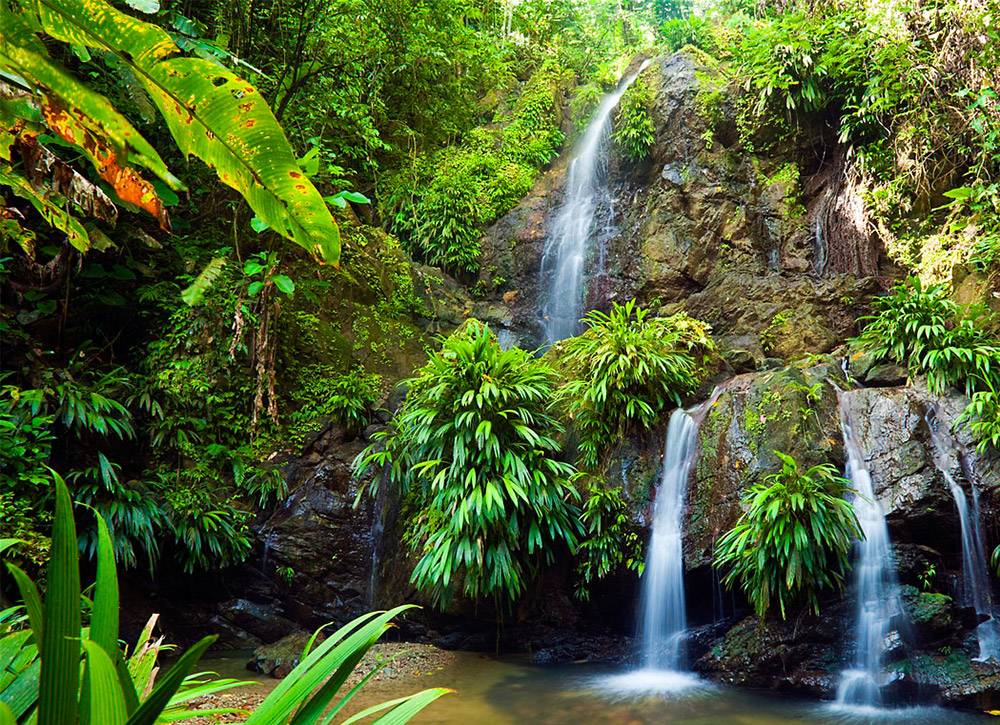 Beautiful Waterfalls in Trinidad and Tobago